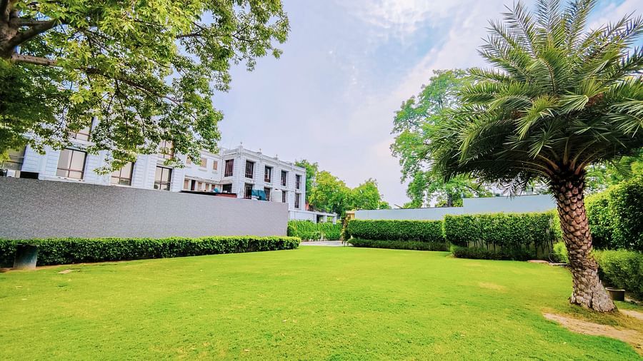 LAWN AREA